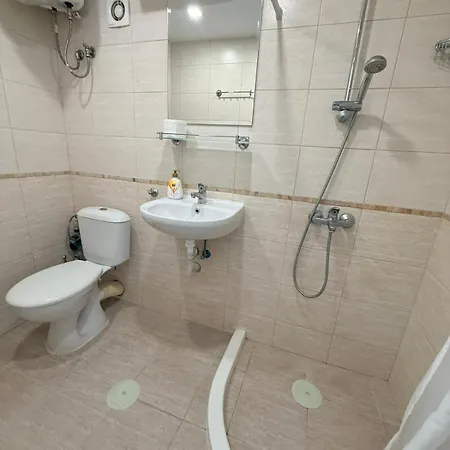 Apartment Le Petit Loft